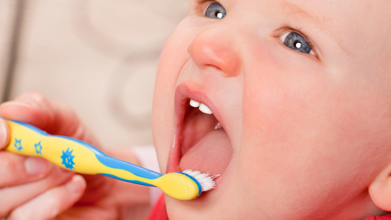 Auch Babyzähne putzen Eltern am besten mit einer Bürste - nur weich sollte sie sein.