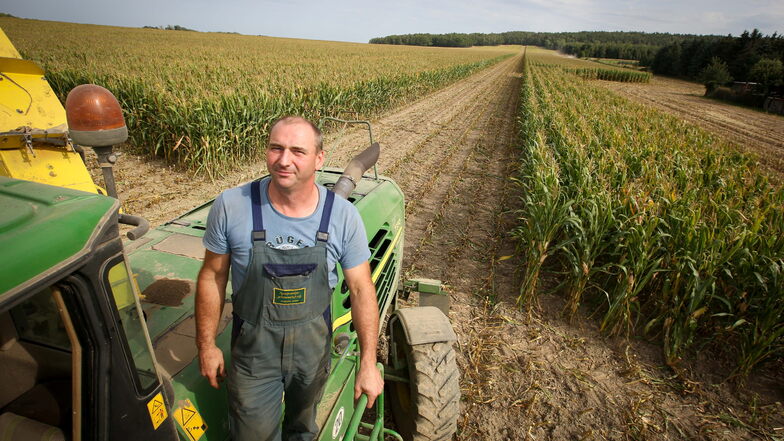 Bei der Agrargenossenschaft Lückersdorf/Gelenau hat in dieser Woche die Maisernte begonnen. Matthias Schlegel fährt den Maishäcksler.