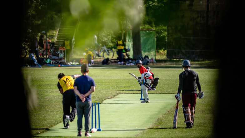 Während sich die Cricket-Teams im Sportpark Ostra spannende Spiele liefern, schauen möglicherweise auch Wettbetrüger nach Dresden.