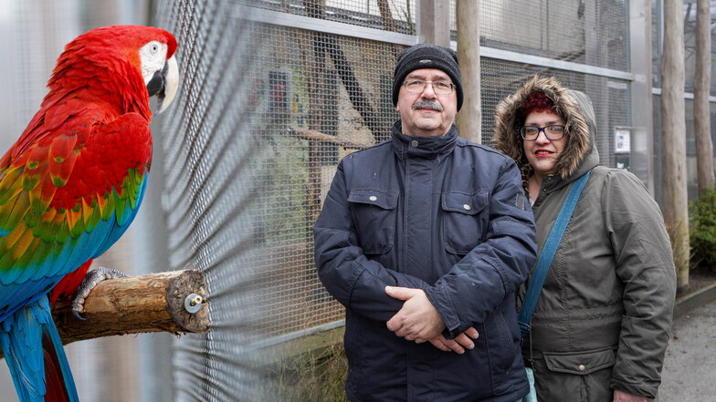 Tino Berthold und seine Frau Anna Paula Wolff haben aus Neukirch die Patenschaft für zwei Aras im Tierpark Bischofswerda übernommen.