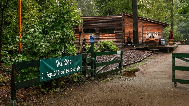 Am Sonnabend dreht sich beim Waldfest auf dem Konzertplatz alles um die Heide, ihre Pflanzen und tierischen Bewohner.