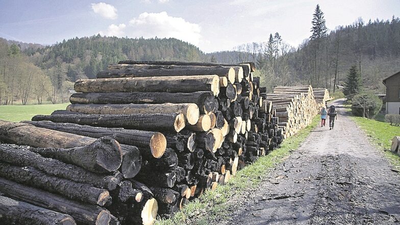 Vom letzten Brand am Zufahrtsweg zum Kuhstall blieben nur verkohltes Holz auf dem Polter übrig.