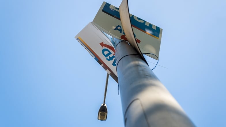 An der Berliner Straße in Riesa hängen AfD-Plakate an Straßenlaternen. In der Elbestadt gibt es aber Ärger um zu viel aufgehängte Wahlplakate der Alternative für Deutschland.