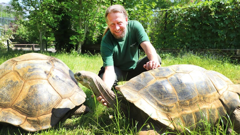 Tierpfleger Michael Scheffert mit den Hugos auf der Sommerwiese.