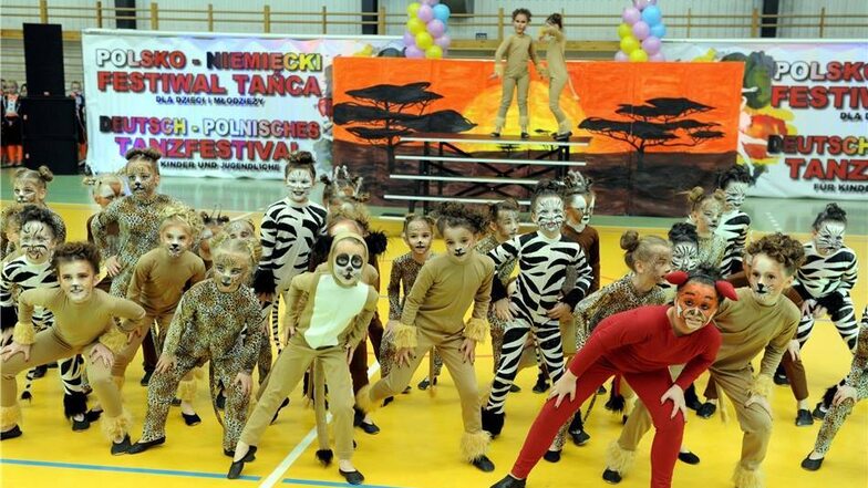 Beim Tanzfestival in Zary vertraten die Rainbow Kids vom Tanzclub „Kristall“ aus Weißwasser die Stadt. 35 Mädchen zwischen fünf und acht Jahren tanzten nach dem Broadway-Musical von Elton John und Tim Rice den „König der Löwen“