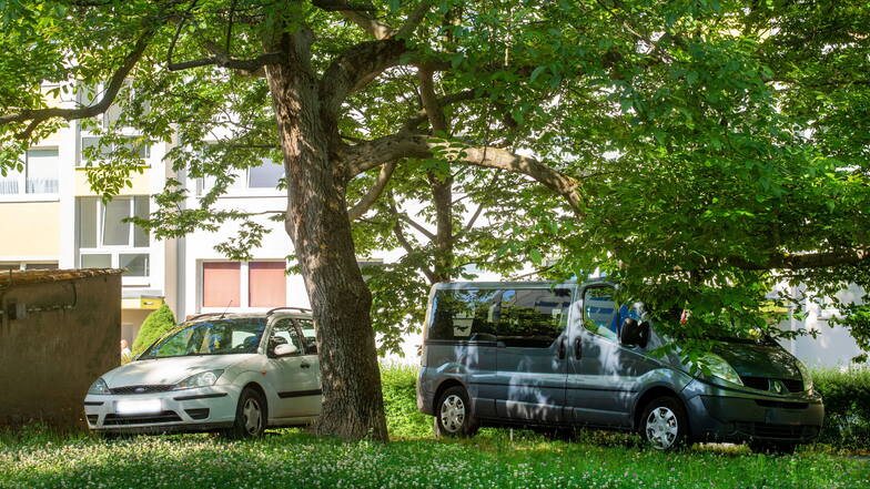 Bis vor Kurzem parkten zwei Pkws rechtswidrig auf einer Grünfläche in Pirna-Copitz. Jetzt wurde das Areal mit einem Flatterband abgesperrt.