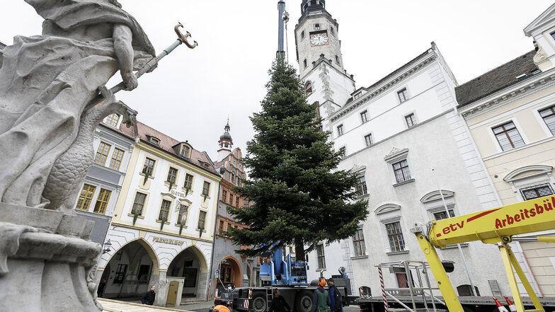 Der Weihnachtsbaum schwebt 2019 auf dem Untermarkt ein. Diesmal haben die Transportfirmen gleich die dreifache Arbeit.