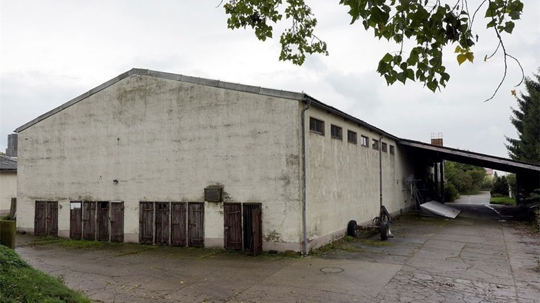 So könnte es künftig in der Lagerhalle der Tiergut Elbland GmbH in Gallschütz aussehen, wenn diese zu einem Abferkelstall umgebaut wurde.