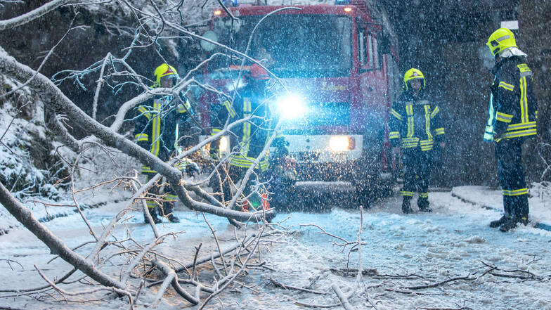 Die Feuerwehr räumt nach Schneebruch Äste von einer Straße in Annaberg-Buchholz.