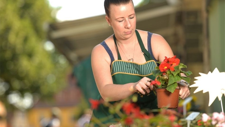 Verkauft wird der eigene Anbau im Hofladen am Anger in Altkötzschenbroda. Auch Blumen gibt es dort, gepflegt von Mitarbeiterin Kathrin Seidel.