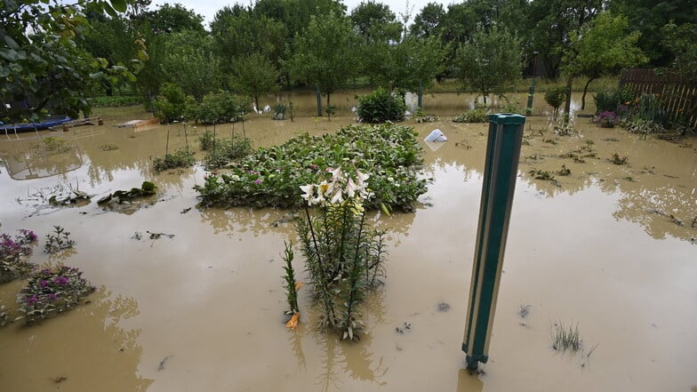 Ein überschwemmter Garten in Sazovice in Tschechien.