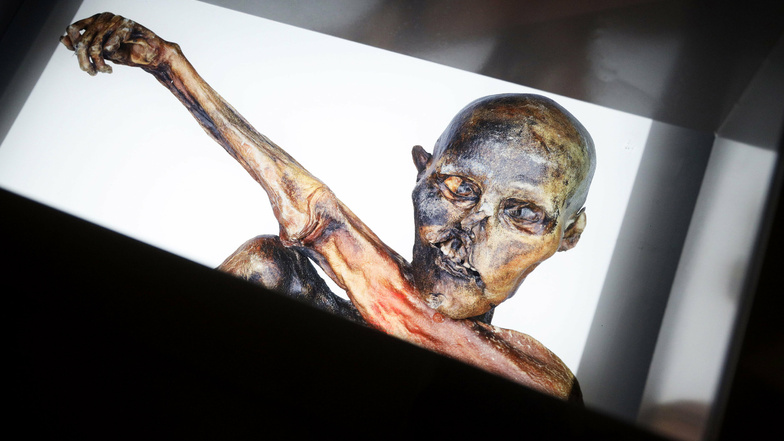 1991 wurde der Gletschermann in Südtirol gefunden. Zuerst ging die Polizei von einem Mord aus. Später gaben Archäologen der Mumie den Namen Ötzi, weil sie am Ötztal gefunden wurde.