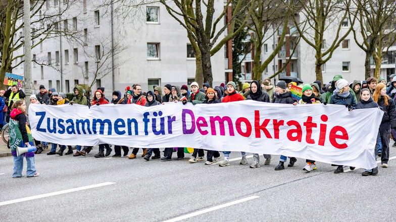 Es ist ein Massenphänomen: Die Demonstrationen im Frühjahr für mehr Demokratie und gegen Rechtsextremismus in ganz Deutschland.