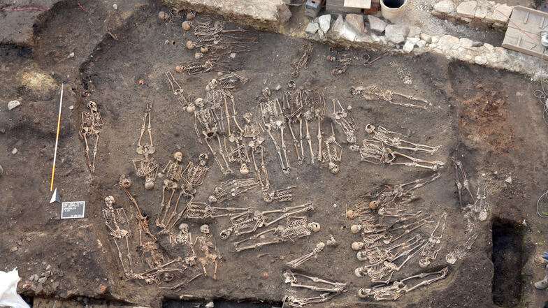 Überreste von Särgen haben die Archäologen auf dem Domplatz kaum gefunden.  Oftmals wurden die Toten nur in Leinentücher gewickelt beerdigt.