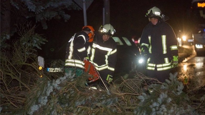 Die Feuerwehr bei Putzkau im Einsatz: Die B98 war fast eine Stunde durch einen umgestürzten Baum blockiert.
