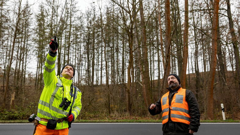 Gefahr von oben: Der Kontrolleur zeigt Christoph Fiederling vom Straßenbauamt abgestorbene Bäume in einem privaten Waldstück.
