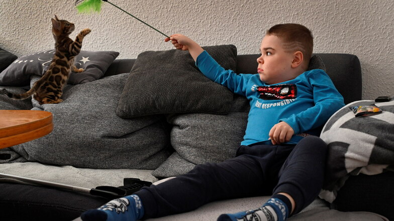 Gemütlich in der Sofaecke mit der Katze zu spielen, ist dem zehnjährigen Finn aus der Lausitz am liebsten. Doch er muss sich bewegen, damit seine Muskeln durch die Krankheit Duchenne nicht noch schwächer werden.