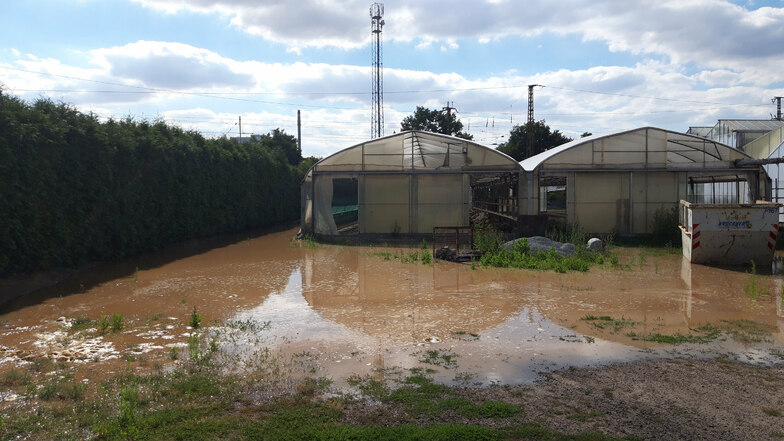 Das Gelände der Hortensiengärtnerei Ullmann wird geflutet