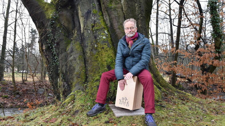 Musik am Rekordbaum: Forstprofessor Andreas Roloff (66) spielt im Heilsberger Park in Freital auf einer Kistentrommel. Die Rotbuche in seinem Rücken ist die drittstärkste Deutschlands.