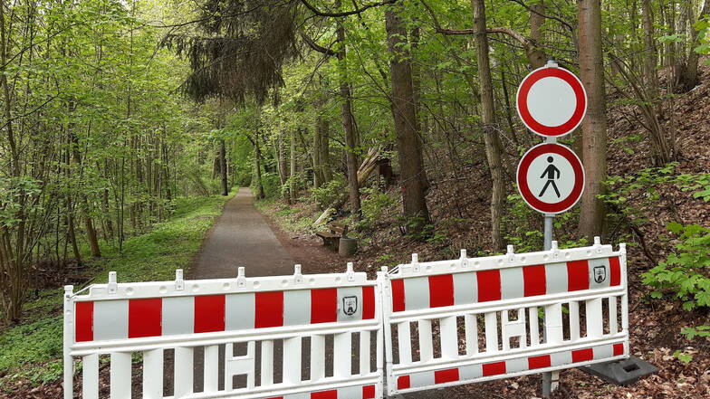 Der Rauschenthaler Weg in Waldheim ist gesperrt. Grund dafür sind schadhafte Bäume, welche die Sicherheit von Wanderern gefährden.