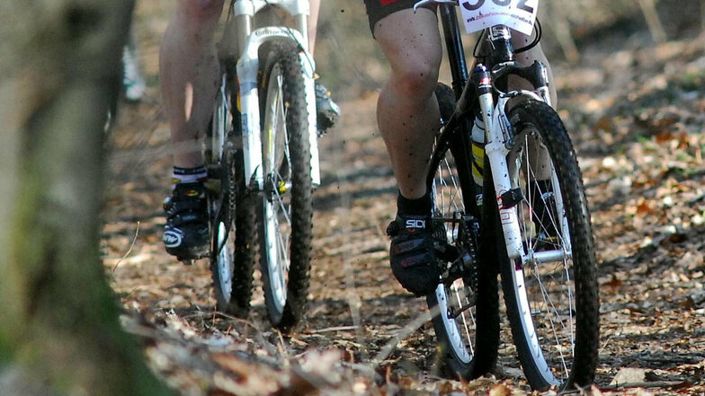 Bogatynia baut Hindernis-Strecken für Mountainbiker