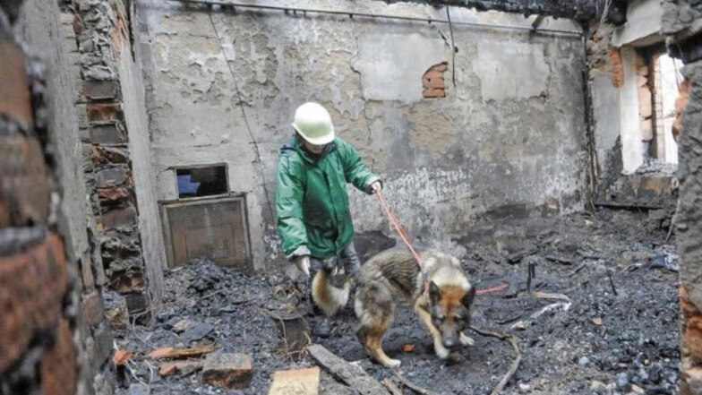 Mit Hunden wurde 2009 das explodierte Wohnhaus in Walda durchsucht. Nach fünf Tagen wurde die Leiche des Kunstmalers Gunther Augsten gefunden. Sein Mörder befindet sich in der Psychiatrie.