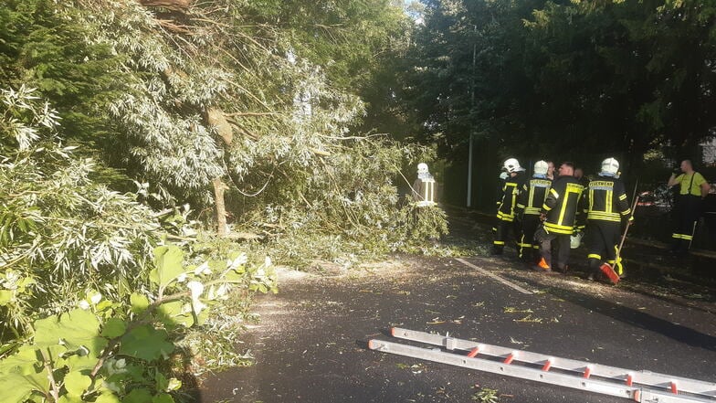 Einsatz auf der Kleinraschützer Straße in Großenhain: Beim Gewitter am Dienstagabend stürzte ein Baum auf die Piste.