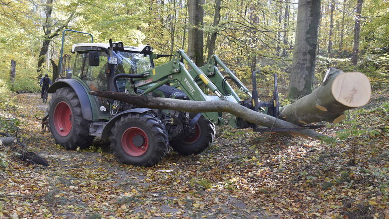 Ohne schwere Maschinen geht beim Aufräumen nach Sturm "Ignatz" in der Dresdner Heide nichts. Hier wird eine umgestürzte Buche an den Wegesrand transportiert.