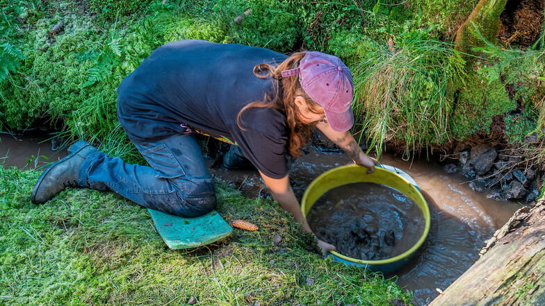 Arwen Deyhle siebt den abgetragenen Boden auf der Suche nach Holzkohle und Werkzeugen von damals.