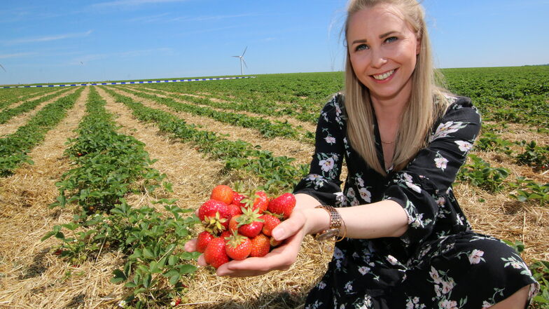 Alaine Masur, die bei der Obstland Dürrweitzschen AG für die Direktvermarktung zuständig ist, mit den ersten Erdbeeren der Saison.