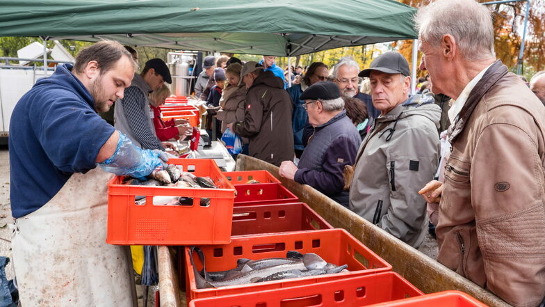 Fischverkauf beim Schaufischen am Schlossteich in Petershain.