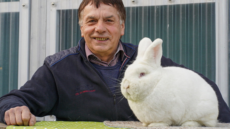 Christian Munder aus Neukirch/Lausitz züchtet seit 50 Jahren Kaninchen der Rasse Weiße Neuseeländer. Jetzt ist er mit vier Tieren Deutscher Vize-Meister geworden.