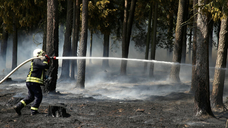Waldbrände wie hier in Waldhufen könnten mithilfe von Sensoren und Drohnen schon im Entstehen entdeckt werden.