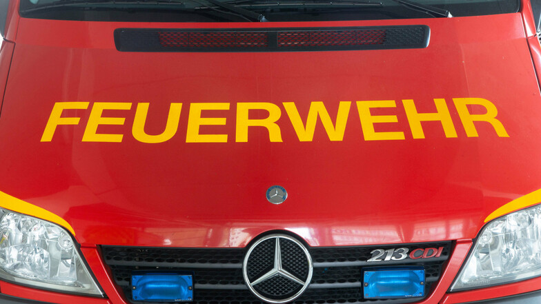 Die Dresdner Feuerwehr retteten den Distelfink am Samstag.