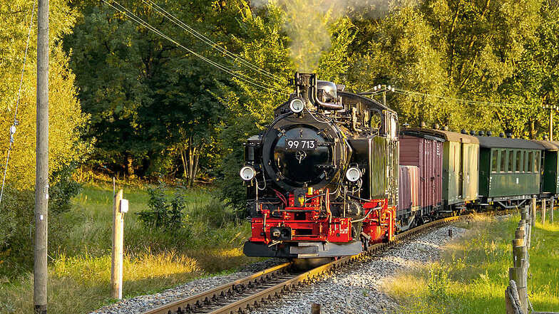 In Zusammenarbeit mit der Traditionsbahn Radebeul sind drei verschiedene Zuggarnituren zwischen Radebeul, Moritzburg und Radeburg unterwegs.