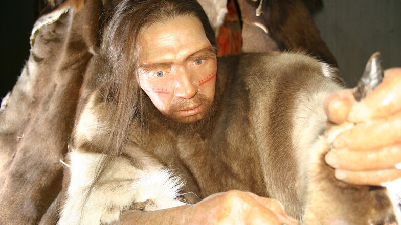 Wissenschaftliche Rekonstruktionen des Neandertalers im Neandertal-Museum Mettmann.