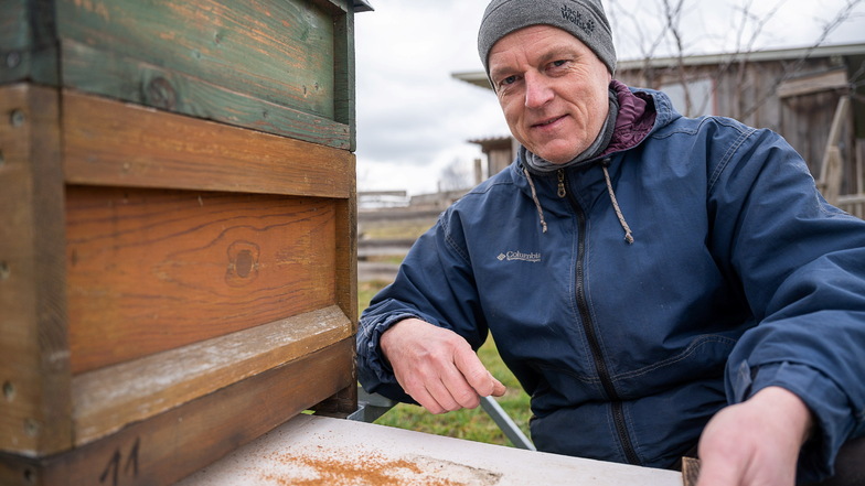 Sven Büchner bei seinen Bienenstöcken in Friedersdorf. Die orange-braunen Wachskrümel geben Aufschluss über die Aktivität des Bienenvolkes.