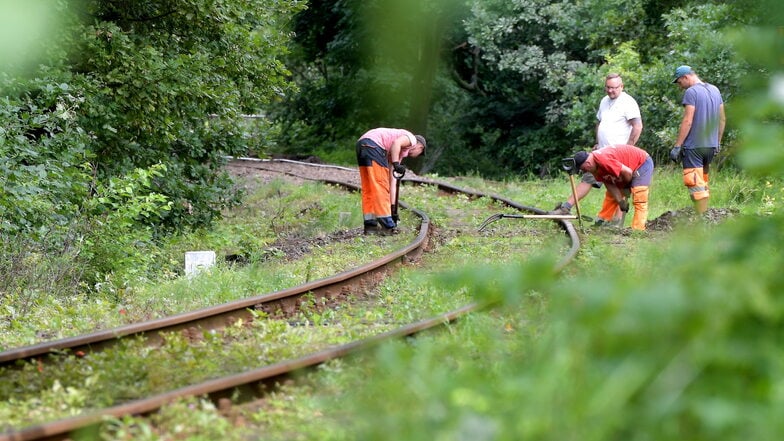 Polnische Arbeiter reparieren die Eisenbahnstrecke zwischen Zittau und Liberec auf polnischem Gebiet.
