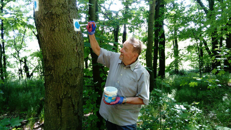 Winfried Kramer markiert einen Baum mit Wanderzeichen.