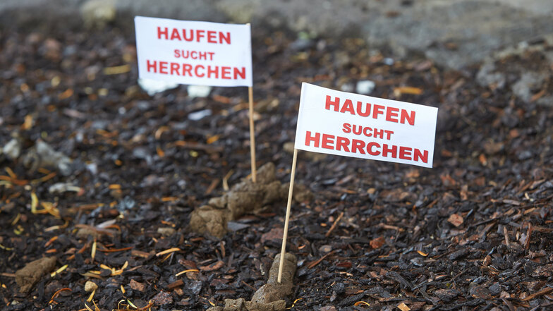 Besser sichtbar: In Goslar werden Haufen mit bunten Fähnchen markiert.