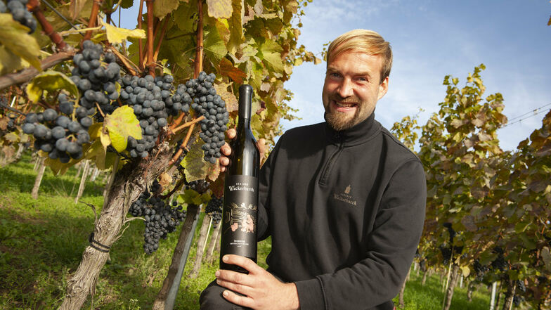 Till Neumeister, Weinbauleiter der Sächsischen Staatsweingut GmbH, mit dem neuesten Produkt. Künftig dürfen die Spitzenweine aus Laubach wieder die Herkunftsbezeichnung Thonberg tragen.