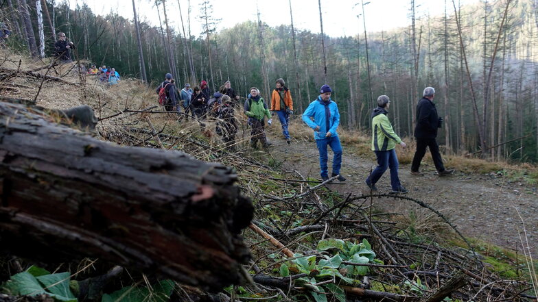 Im Januar hatte die Bürgerinitiative zu einer Wanderung durch den Totwald in der Sächsischen Schweiz eingeladen, um das Ausmaß zu zeigen.