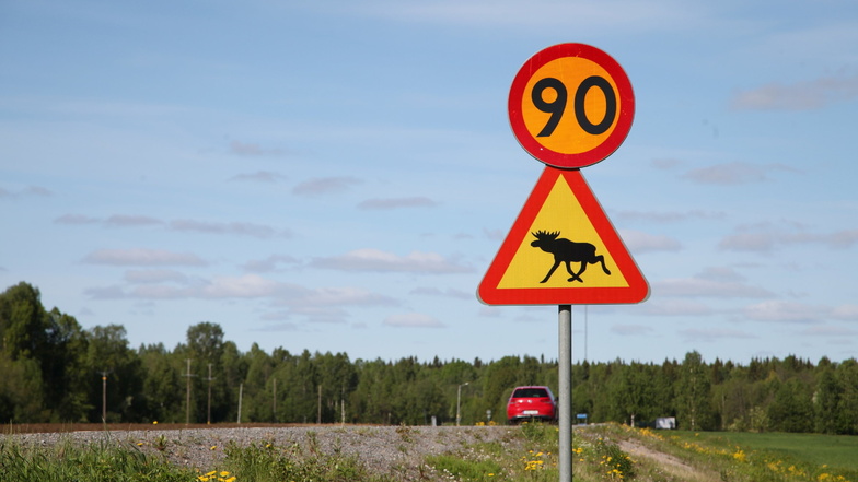 Ein Schild warnt am Straßenrand vor Elchen. Schweden ist und bleibt für viele Deutsche ein Sehnsuchtsort.