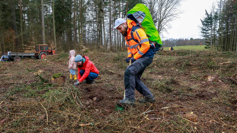 Zwischen Sohland an der Spree und Oppach pflanzten die Mitarbeiter des Sägewerks HS Timber junge Bäume.