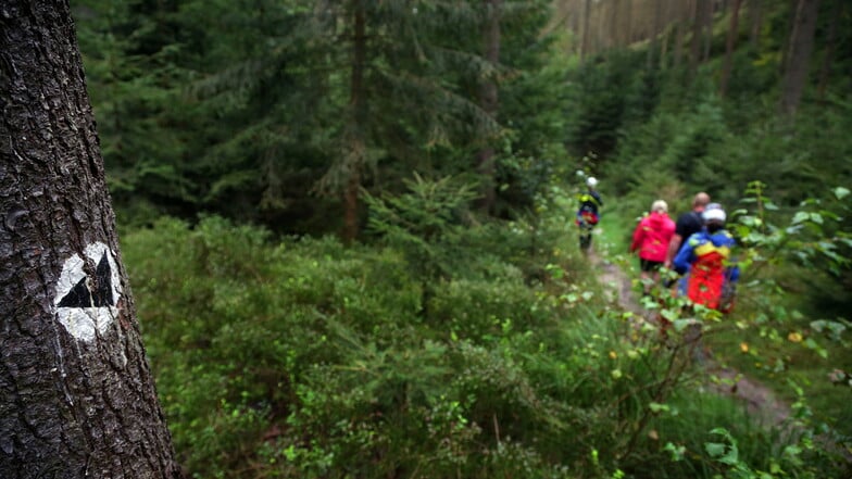 Kameraden der Bergwacht begleiten zwei Wanderer durch den Rauschengrund bei Schmilka, nachdem sich das Paar auf einem Kletterzustieg an den Falknertürmen nicht mehr weiter traute.
