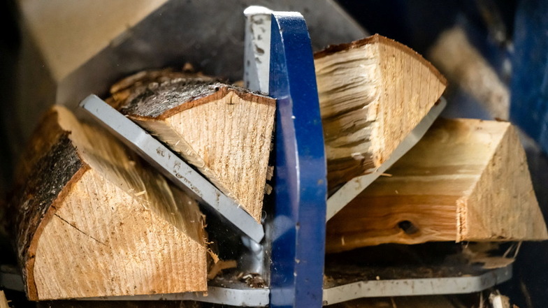 Die Brennholzfabrik läuft: Nachdem die Kettensäge ein Stammstück abgetrennt hat, wird es vom sternförmigen Spaltmesser in Scheite zerlegt.