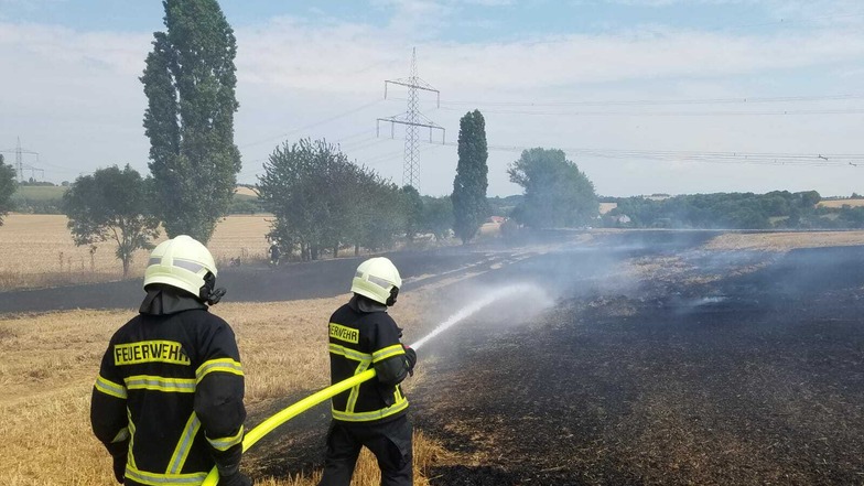 Die Feuerwehrleute rückten am Donnerstagmittag in den Döbelner Ortsteil Mochau zu einem Feldbrand aus.
