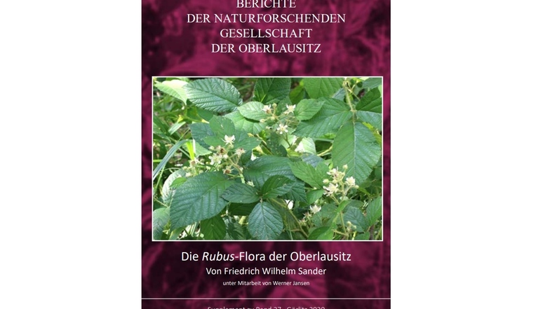 Das Titelblatt zeigt die Lausitzer Brombeere (Rubus lusaticus) auf dem Löbauer Berg.