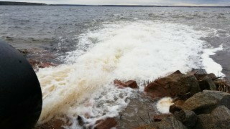 Etwa 60 Millionen Kubikmeter Wasser zapfte die LMBV in diesem Jahr aus Spree, Neiße und Schwarzer Elster ab, um damit die Flutung ehemaliger Tagebaue voranzutreiben.