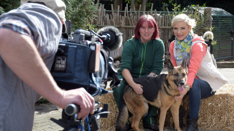 Tierheim-Mitarbeiterin Mandy Poster und Moderatorin Uta Bresan (rechts) zeigen Hündin Hope, die in der Fernsehsendung „Tierisch, tierisch“ vermittelt werden soll.